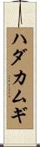 ハダカムギ Scroll
