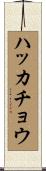 ハッカチョウ Scroll