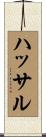 ハッサル Scroll