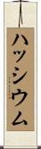 ハッシウム Scroll