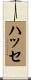 ハッセ Scroll