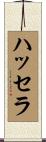 ハッセラ Scroll