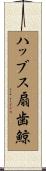 ハッブス扇歯鯨 Scroll