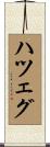 ハツェグ Scroll