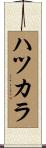 ハツカラ Scroll