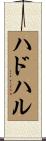 ハドハル Scroll