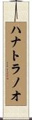 ハナトラノオ Scroll