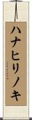 ハナヒリノキ Scroll