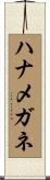 ハナメガネ Scroll