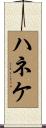 ハネケ Scroll