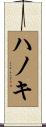 ハノキ Scroll