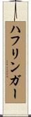 ハフリンガー Scroll
