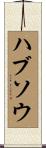 ハブソウ Scroll