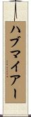ハブマイアー Scroll