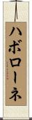 ハボローネ Scroll