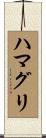 ハマグリ Scroll