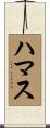 ハマス Scroll