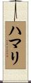 ハマリ Scroll
