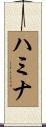 ハミナ Scroll