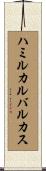 ハミルカルバルカス Scroll