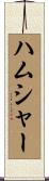 ハムシャー Scroll