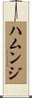 ハムンジ Scroll