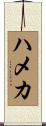 ハメカ Scroll