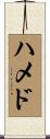 ハメド Scroll