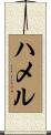 Hammel Scroll
