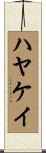 ハヤケイ Scroll