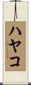 ハヤコ Scroll