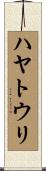 ハヤトウリ Scroll