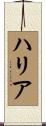 ハリア Scroll