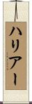 ハリアー Scroll