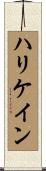 ハリケイン Scroll