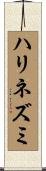ハリネズミ Scroll