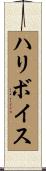 ハリボイス Scroll