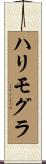 ハリモグラ Scroll