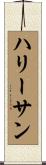 ハリー＆サン Scroll