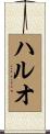 ハルオ Scroll