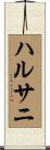 ハルサニ Scroll