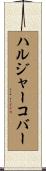 ハルジャーコバー Scroll