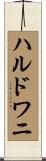 ハルドワニ Scroll