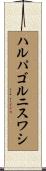 ハルパゴルニスワシ Scroll