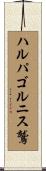 ハルパゴルニス鷲 Scroll