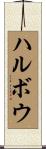 ハルボウ Scroll