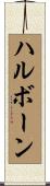 ハルボーン Scroll