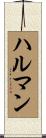ハルマン Scroll