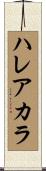 ハレアカラ Scroll