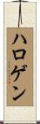 ハロゲン Scroll